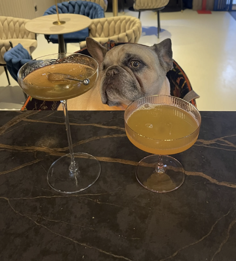 Quinta-feira Amiga dos Cães / Dog Friendly Thursdays — event image